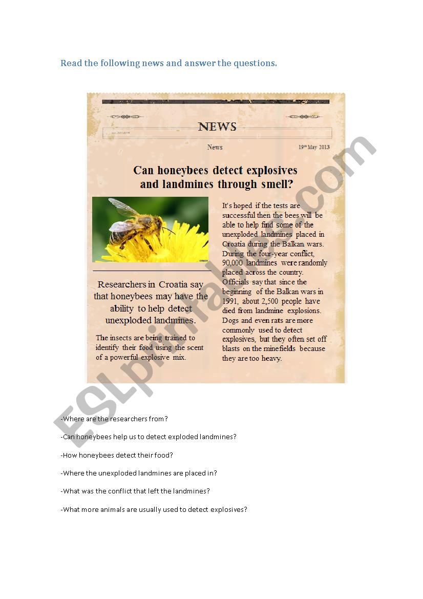 News: Honeybees worksheet