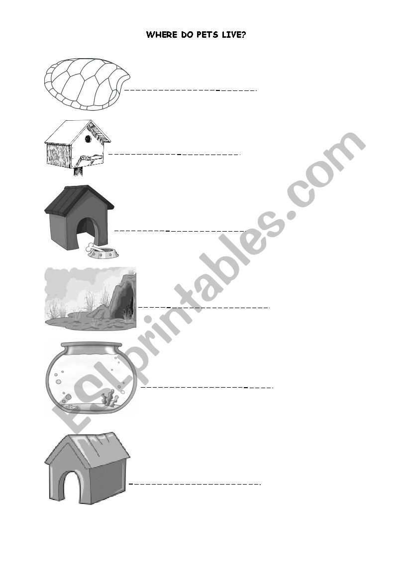 Where do pets live? worksheet