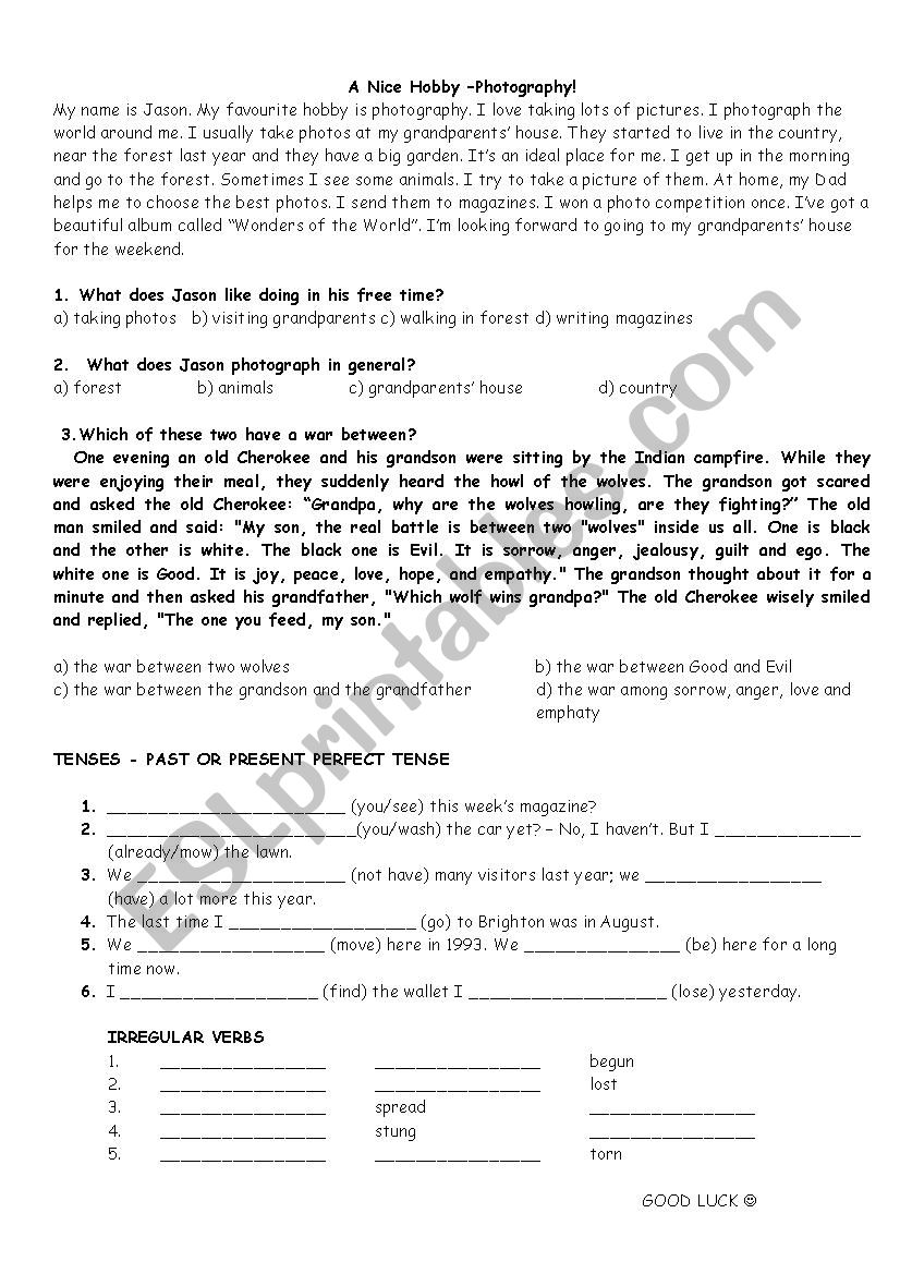 Verb Tenses  worksheet