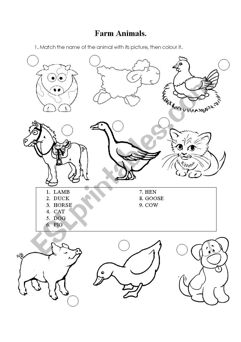 Farm Animals worksheet