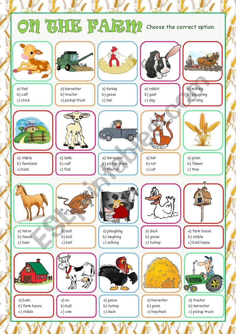 On the Farm Multiple Choice worksheet