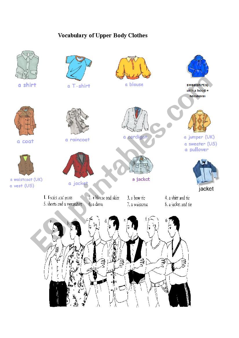 upper body clothes vocabulary worksheet