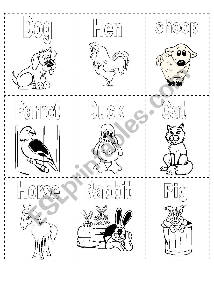 Mini Book Animals part2 worksheet