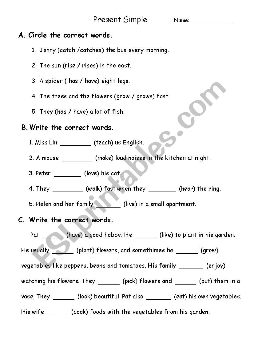 present simple worksheet