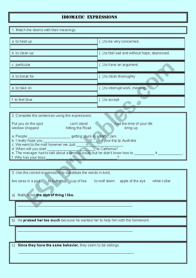 Idiomatic Expressions II worksheet