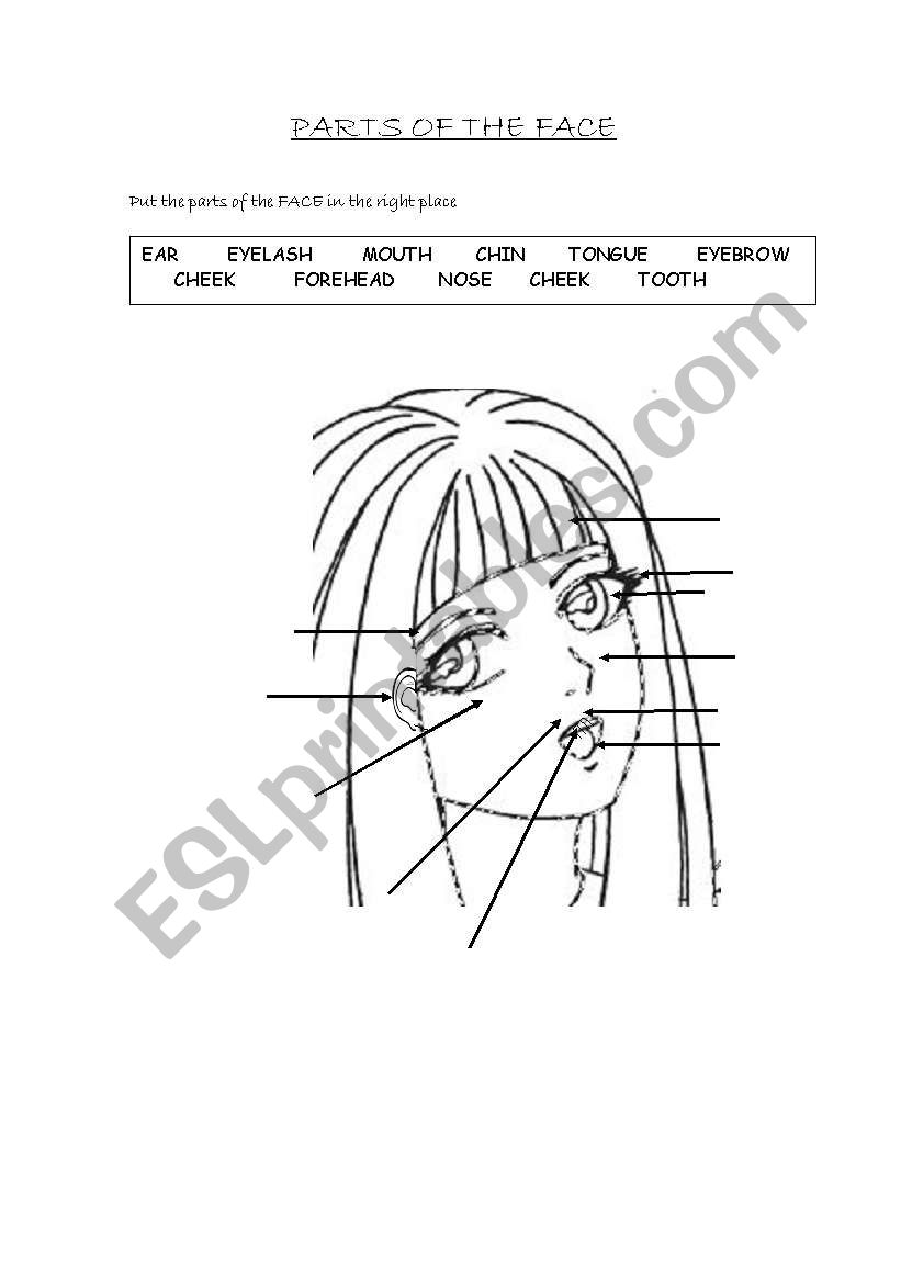 PARTS OF THE FACE worksheet