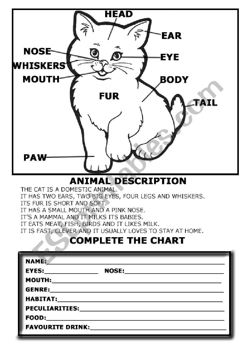 animal description worksheet