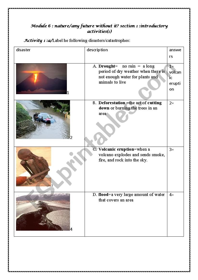 natural disasters worksheet