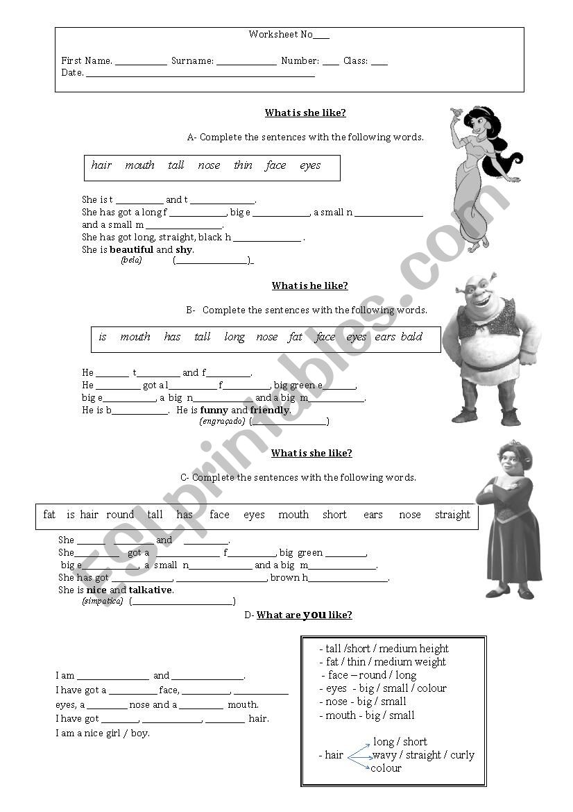 Physical description worksheet