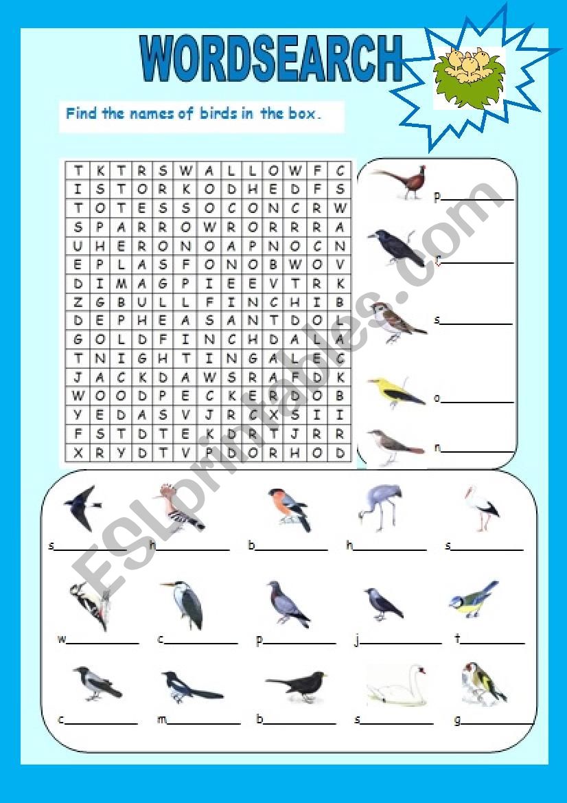 Birds worksheet