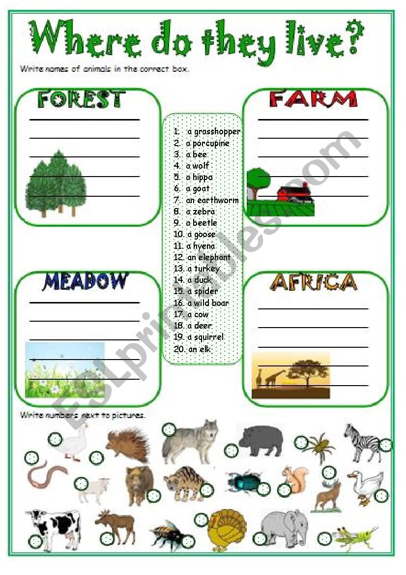 Where do they live? worksheet