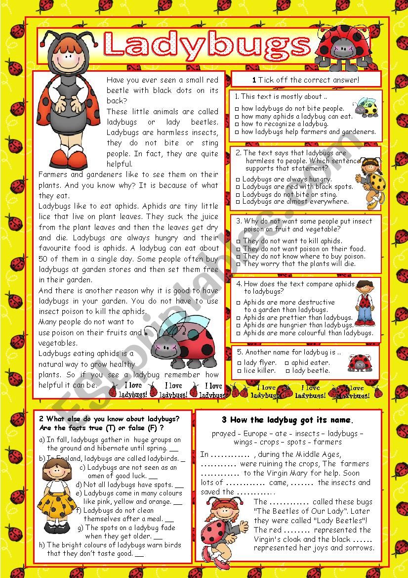 Ladybugs (+key) worksheet