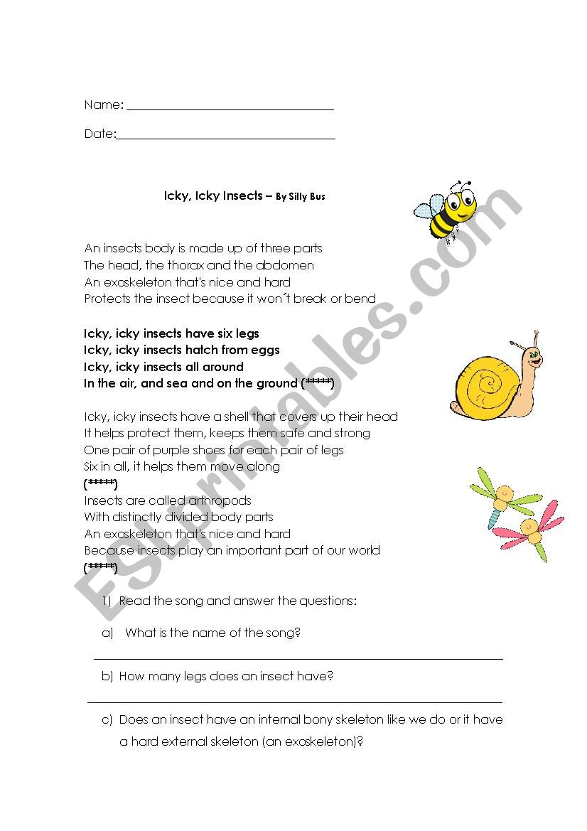 Insects worksheet