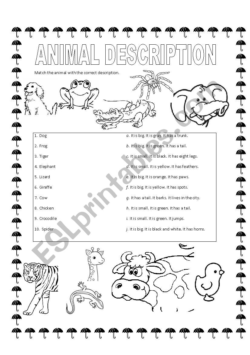 Animal description. worksheet