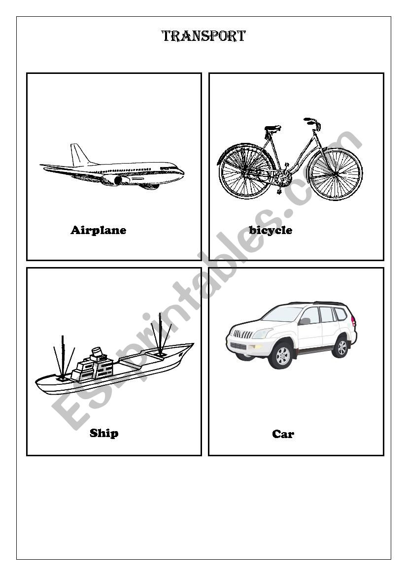 Transport worksheet