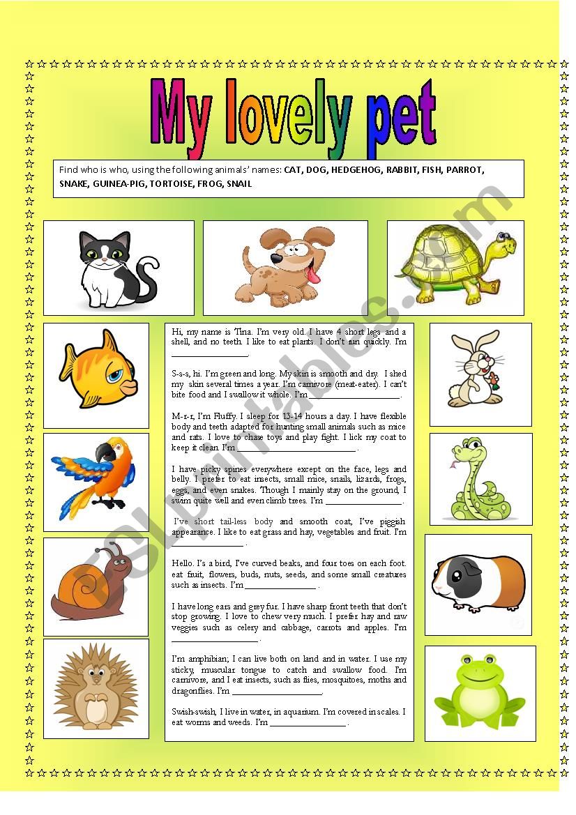 My lovely pet (2 pages) worksheet