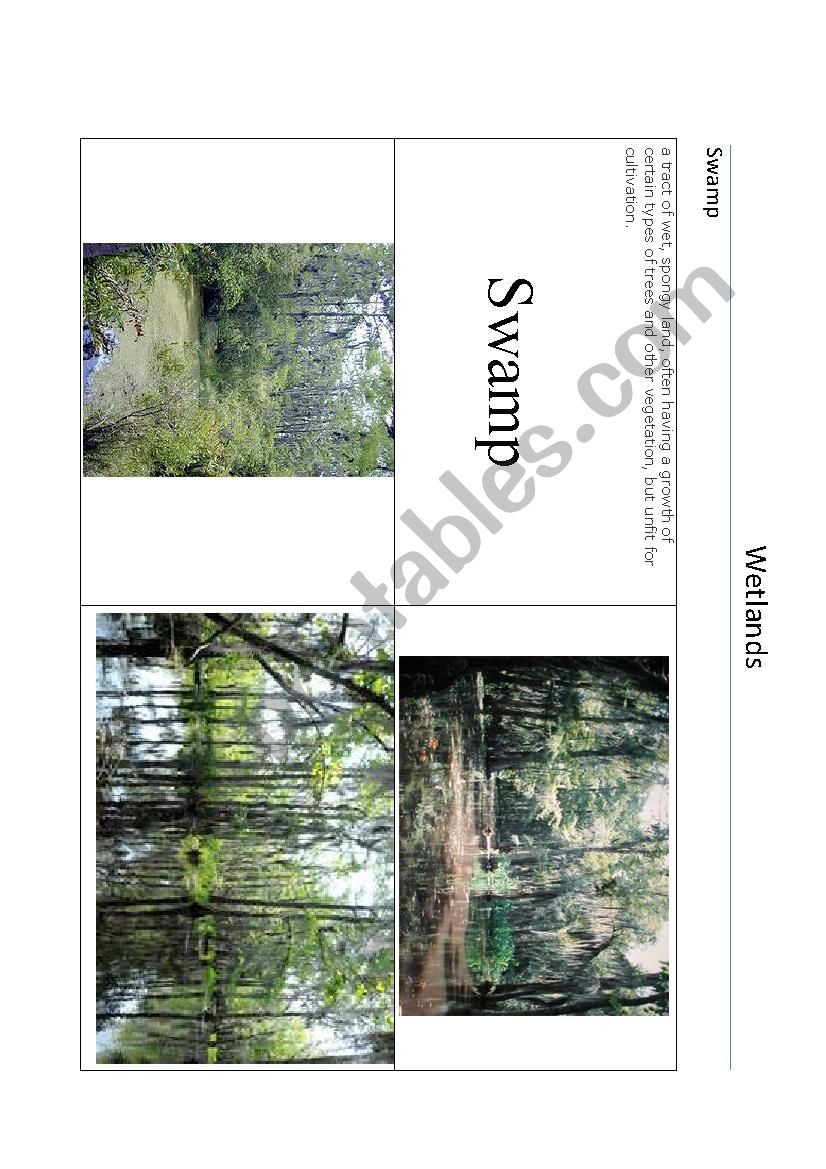 Wetlands - Swamp part 3 of 4 worksheet