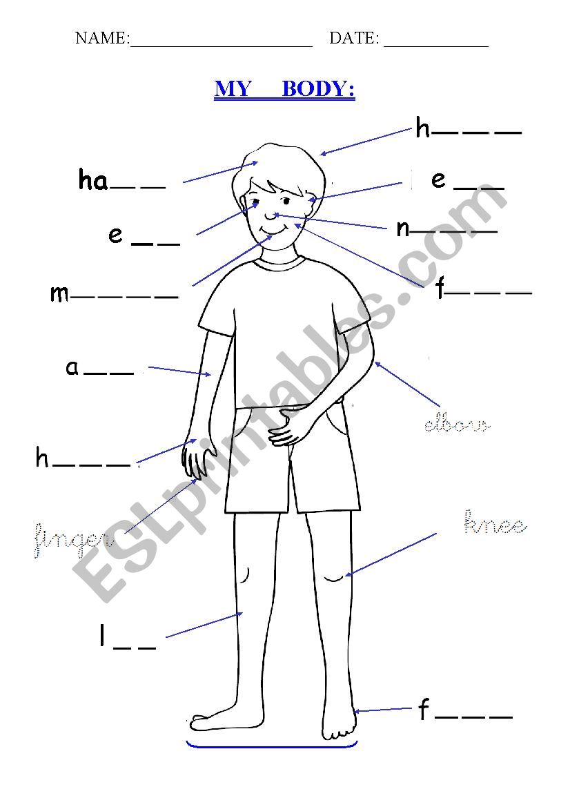 My Body worksheet