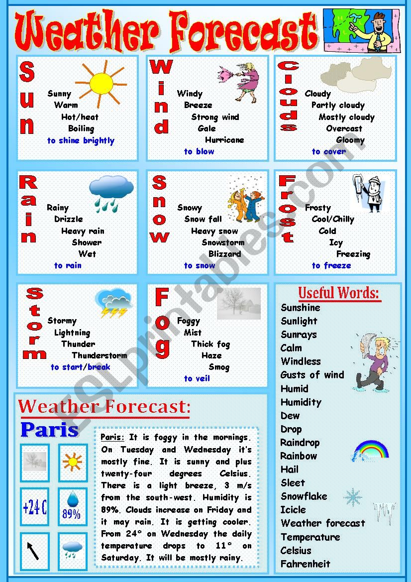 Weather Forecast worksheet