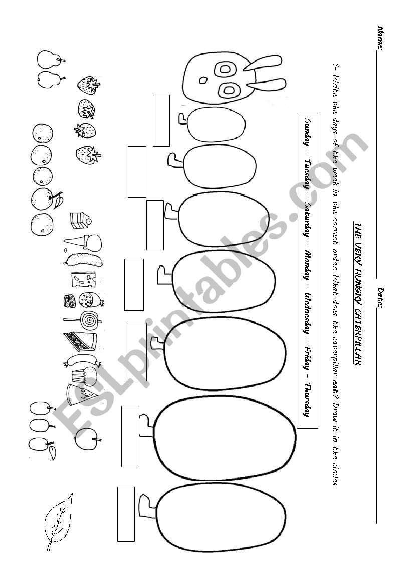 Caterpillar worksheet worksheet