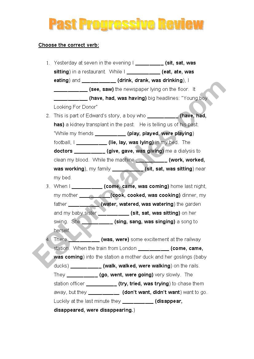 PAST POGRESSIVE REVIEW worksheet