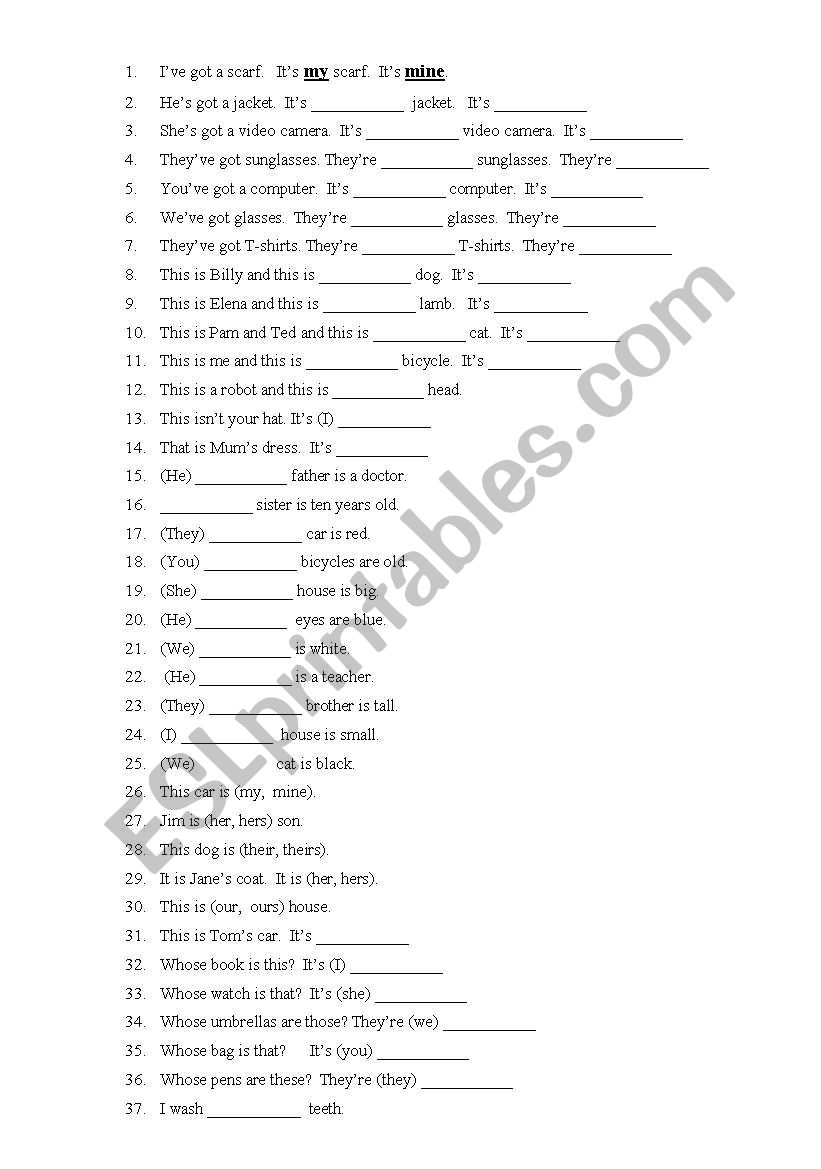 Possessives - My - Mine etc. worksheet