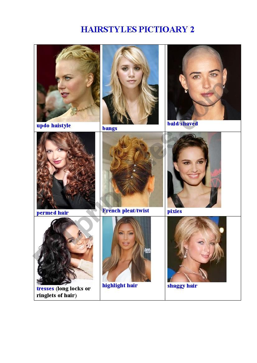 HAIRSTYLES PICTIONARY 2 worksheet