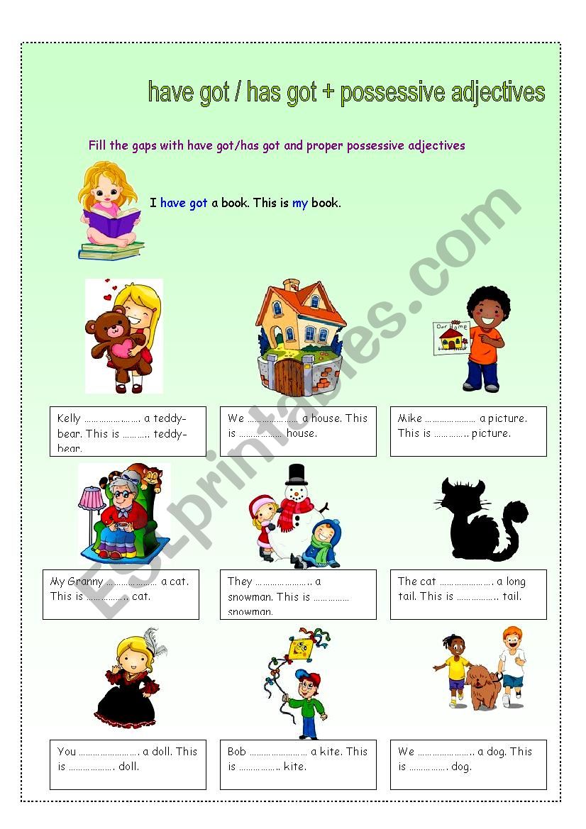 possessive adjectives + have got / has got