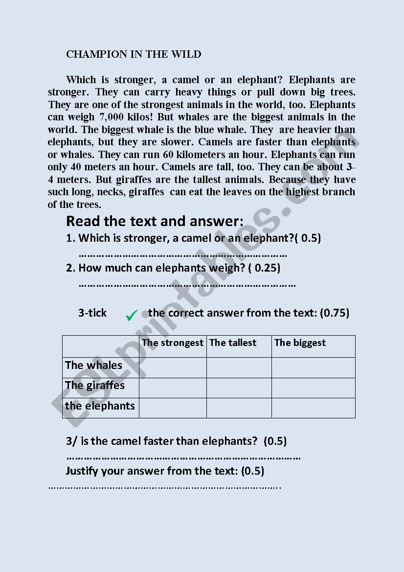 english-test-esl-worksheet-by-farhoud