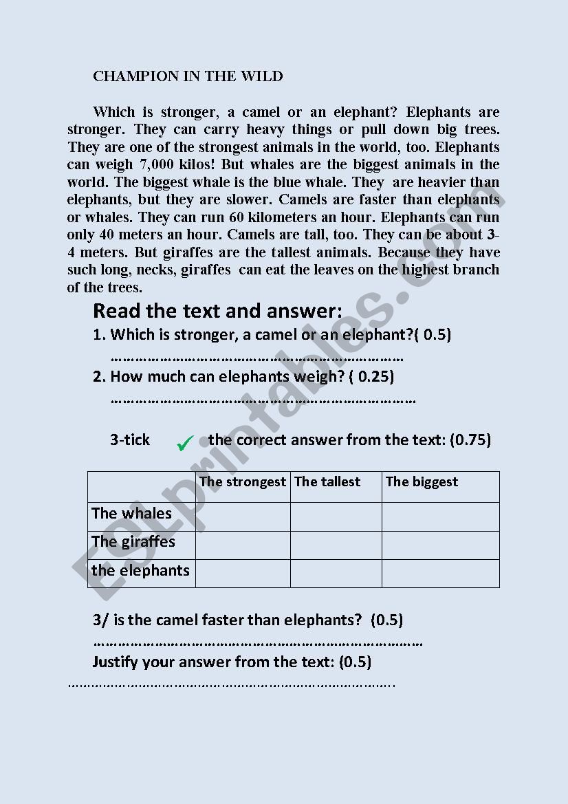 english test worksheet