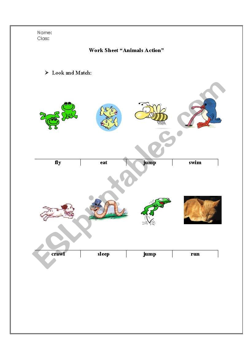 Animals Actions worksheet