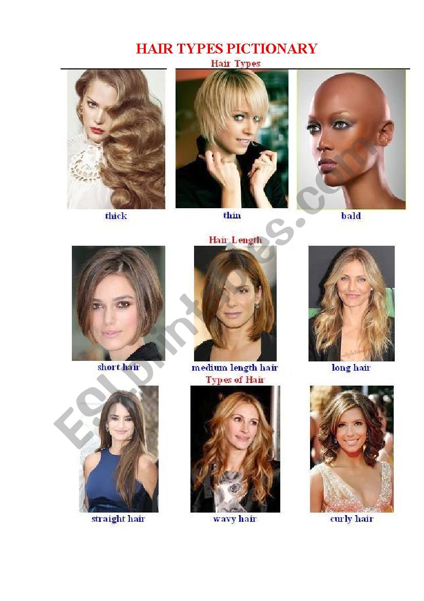 Hair Types Pictionary worksheet