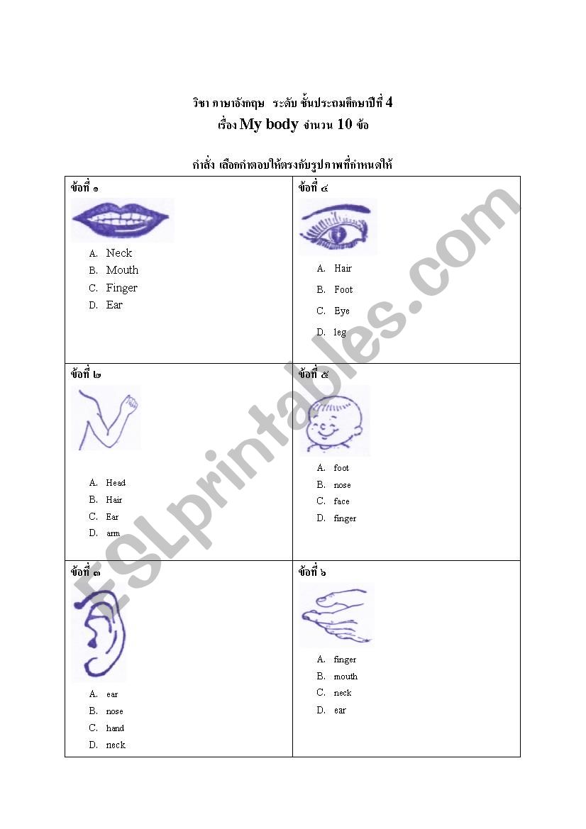 body worksheet