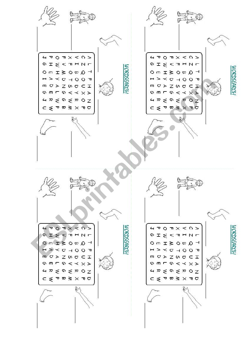 body wordsearch worksheet