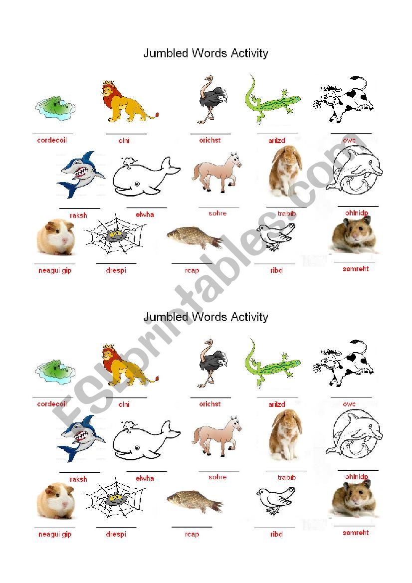 Animals - Jumbled words activity