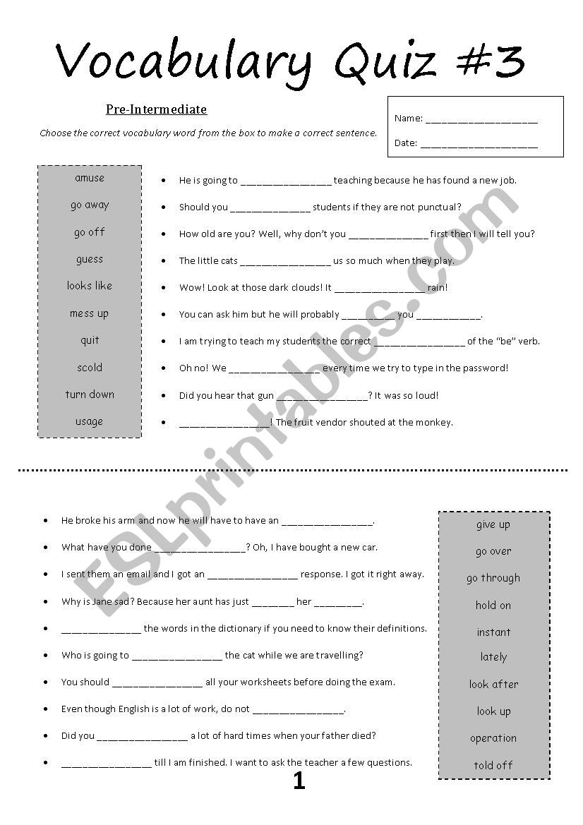 Vocabulary Quiz #3 (Pre-Intermediate) - ESL worksheet by centerforenglished