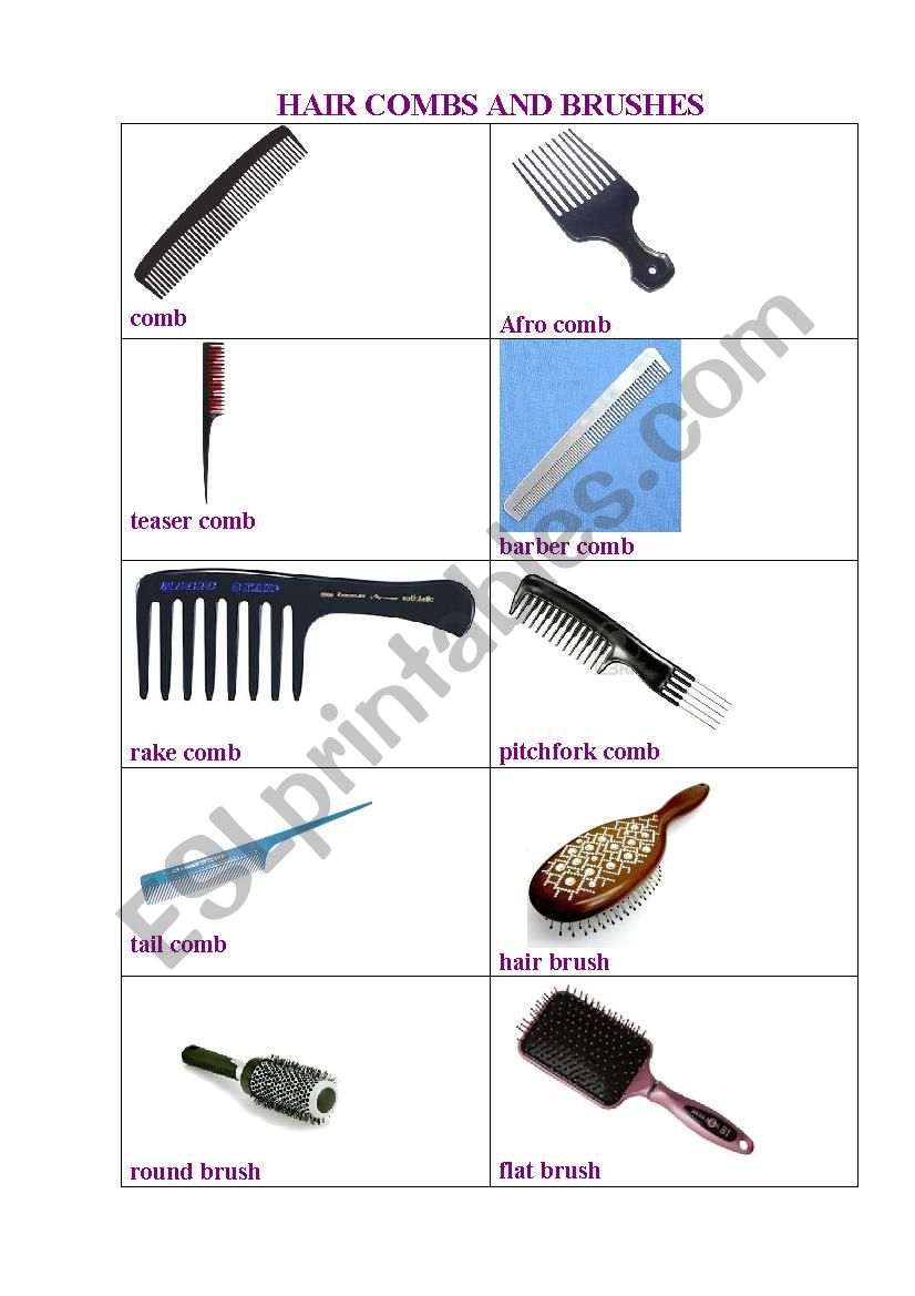 Combs and Brushes worksheet