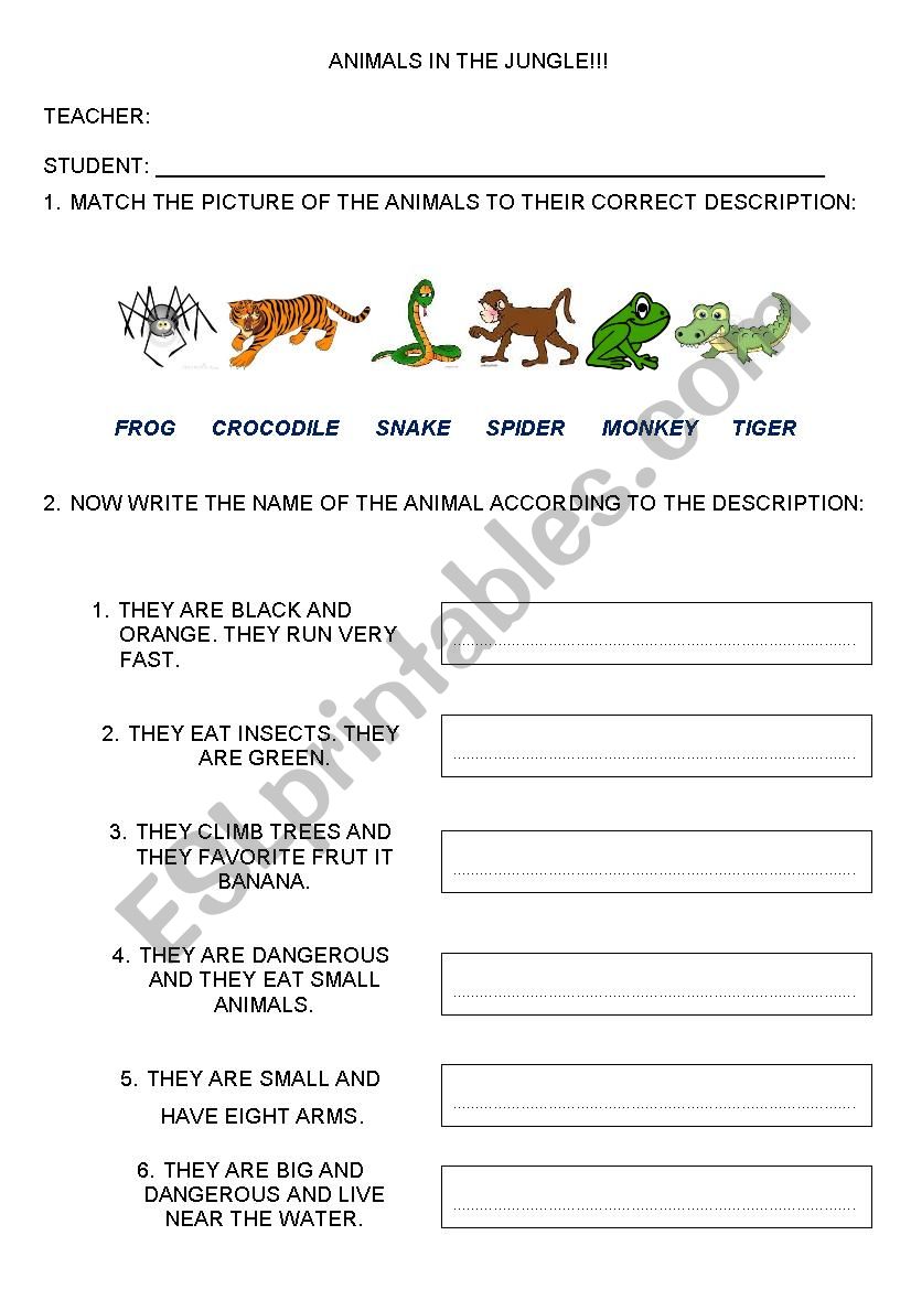 Jungle Animals worksheet