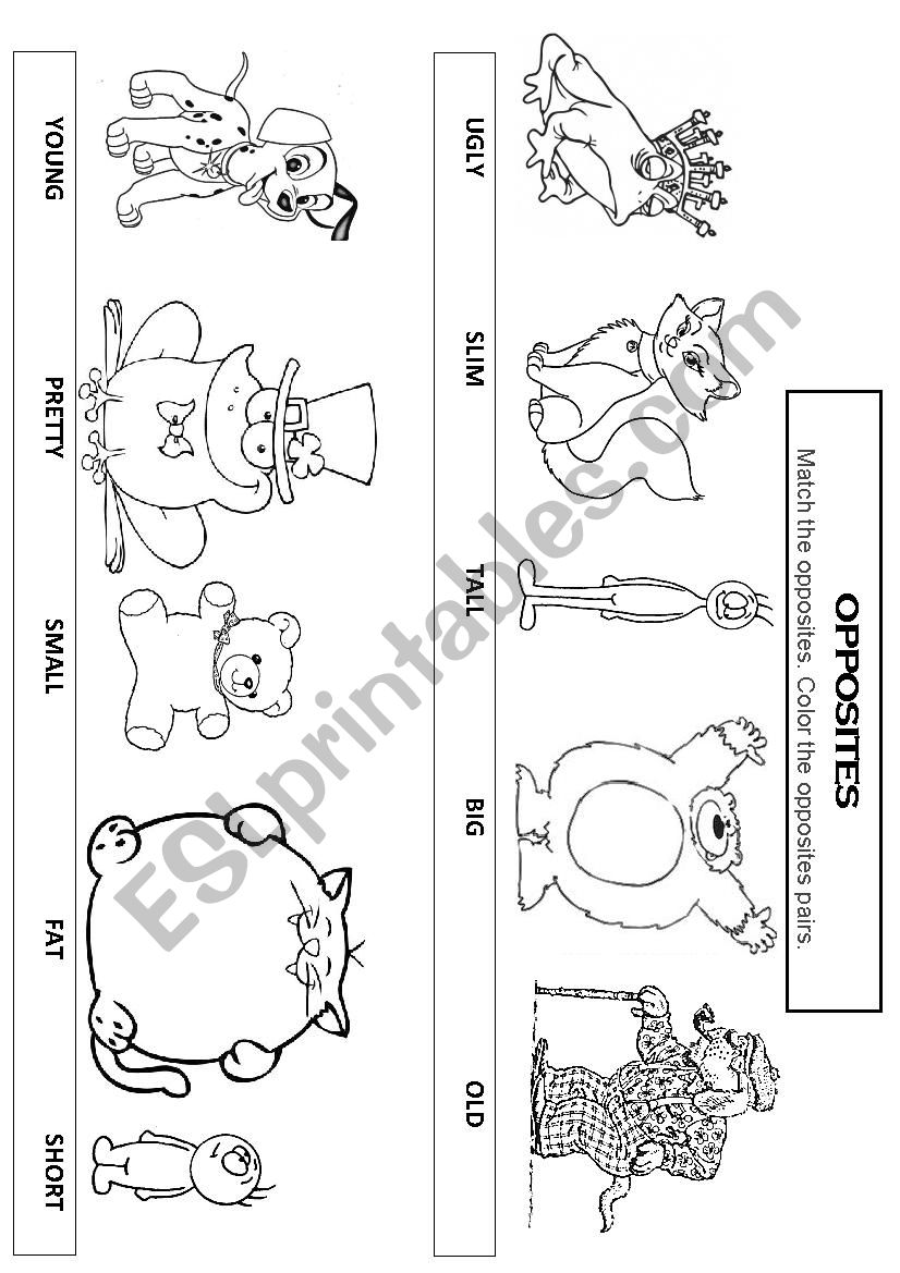 Opposites worksheet