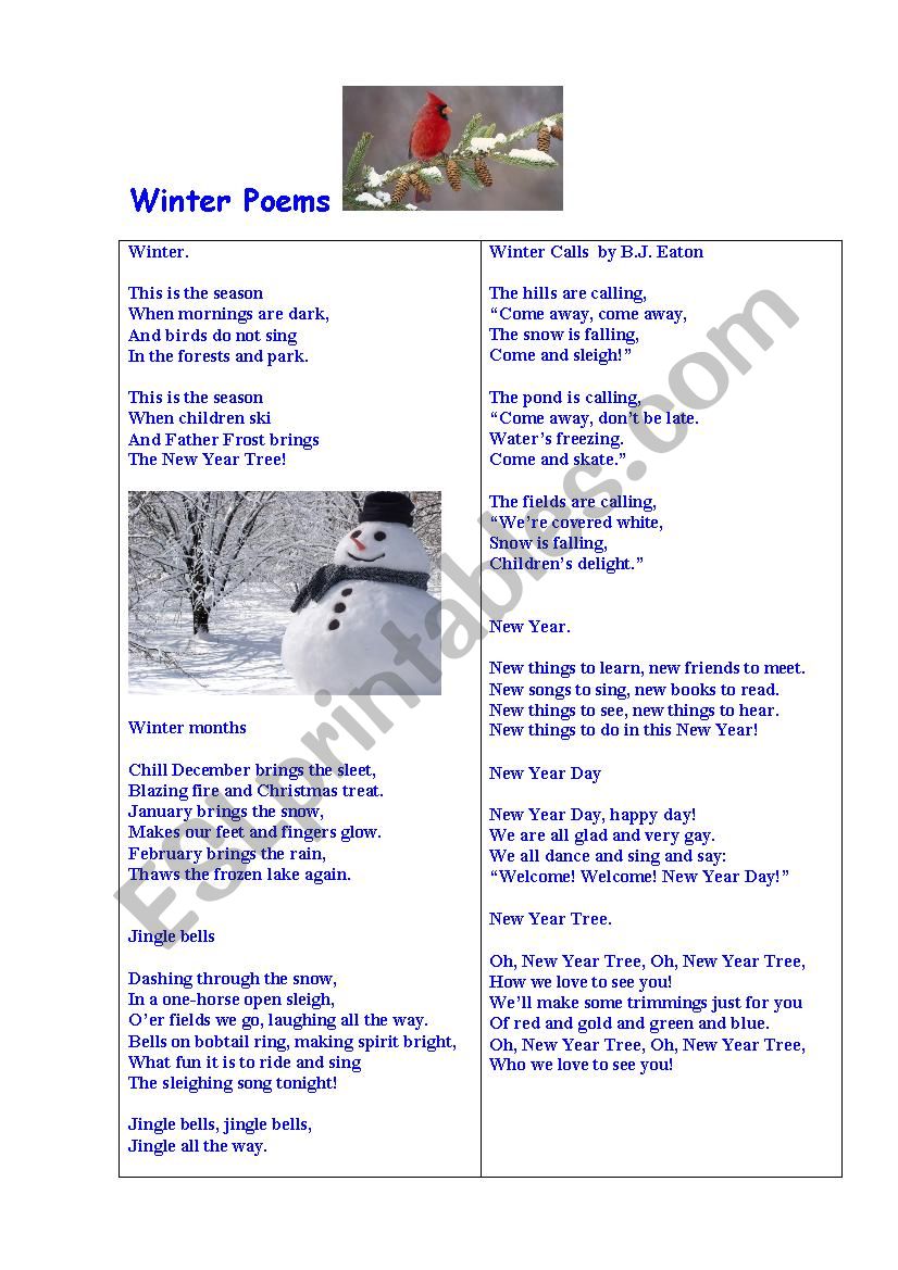 Winter Poems + Questions worksheet