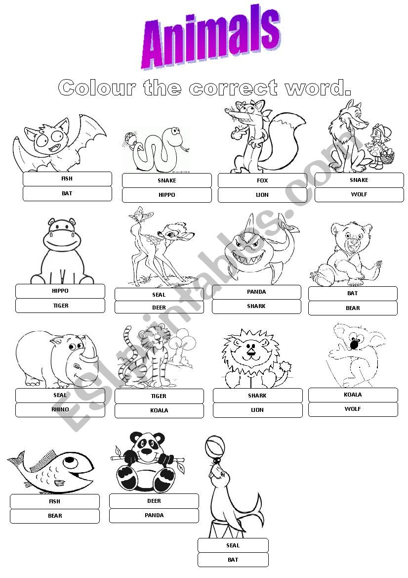 ANIMALS!!! worksheet