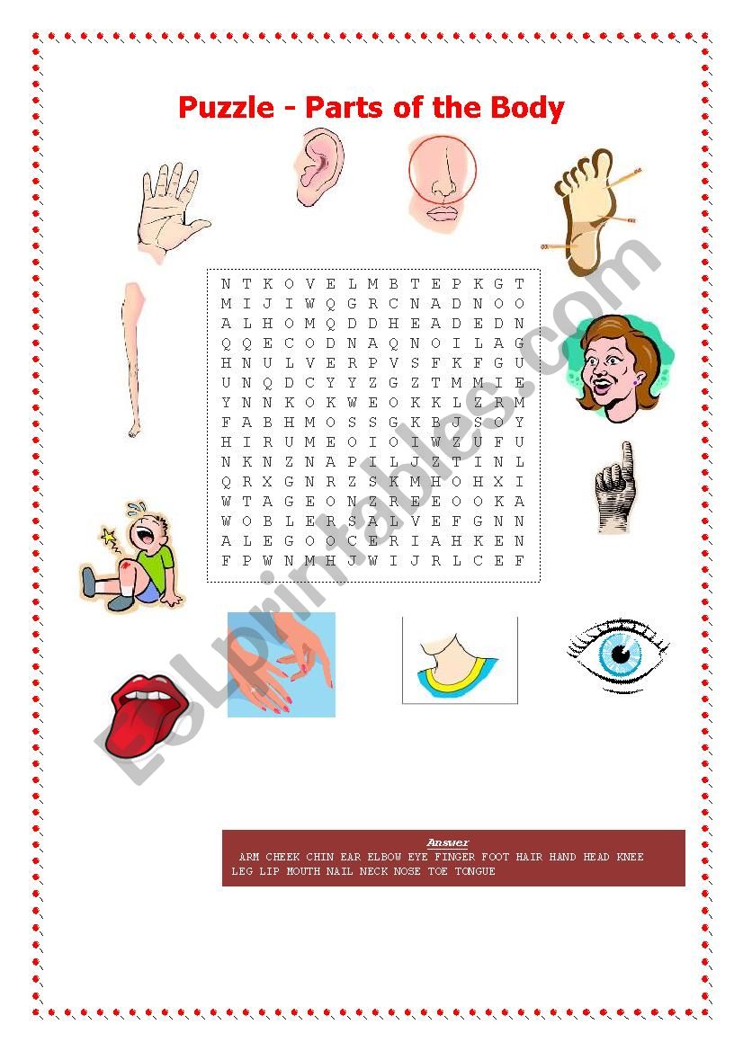 Parts of the body Puzzle worksheet