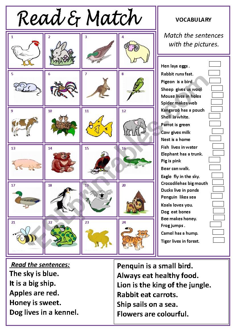 Read & Match worksheet