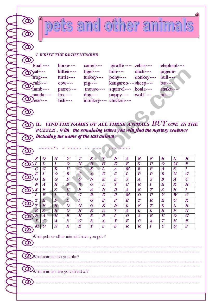 Pets and other animals worksheet