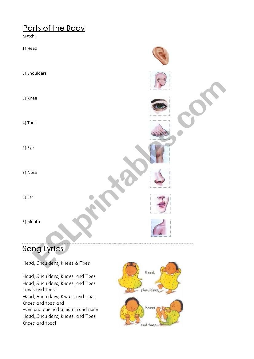 Parts of the Body worksheet