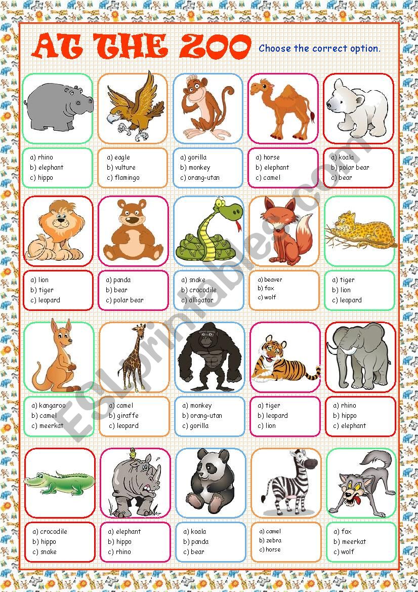 At the Zoo (Multiple Choice) worksheet