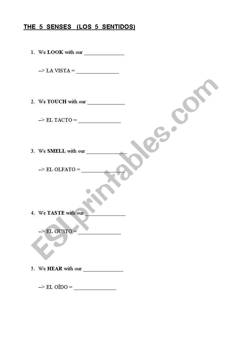 5 senses worksheet