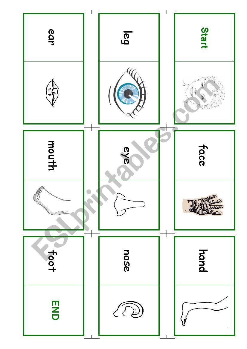Domino Body worksheet