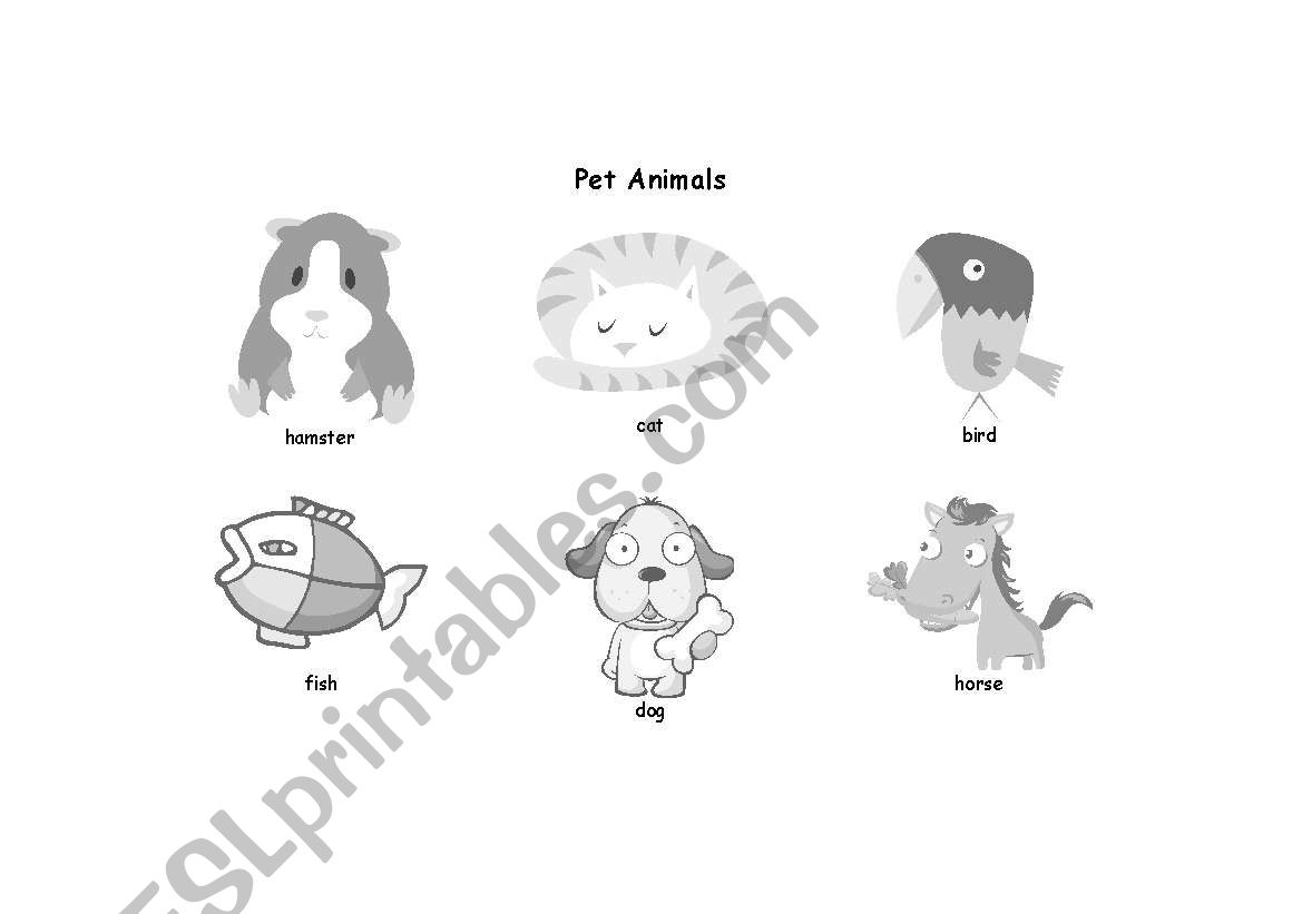 Pet Animals Colouring In Activity