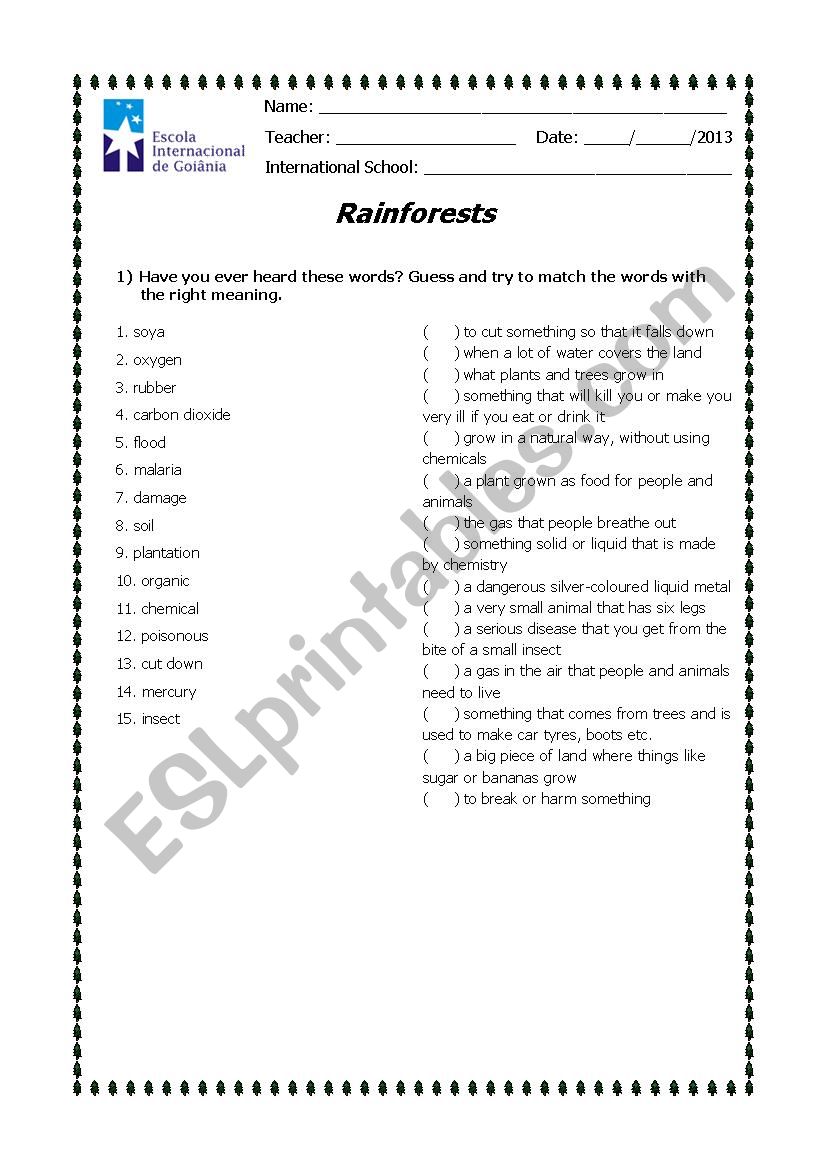 Rainforest Matching worksheet